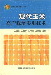 現(xiàn)代玉米高產(chǎn)栽培實用技術