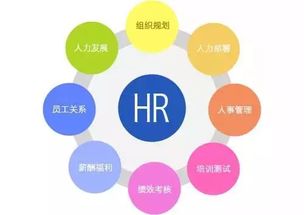 探索人力資源管理新趨勢 企業(yè)管理咨詢的實踐與挑戰(zhàn)
