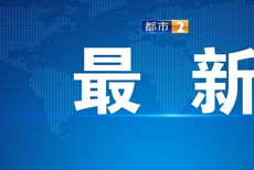 金融信息服務(wù) 新浪財(cái)經(jīng)的角色與價(jià)值